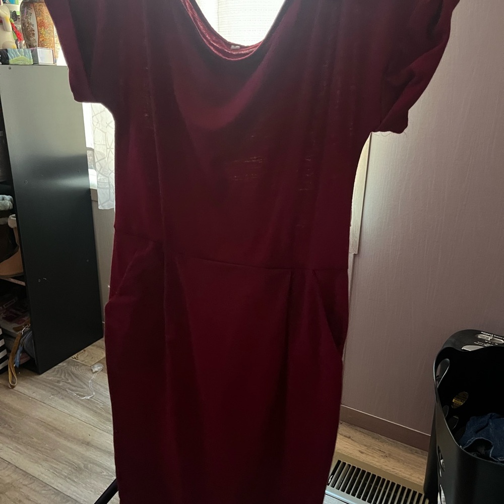 Elegant Burgundy Dress with pockets